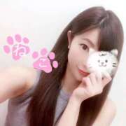 ヒメ日記 2025/12/20 12:22 投稿 ねこ Evolution 2nd