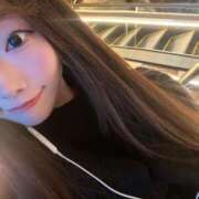 ヒメ日記 2025/12/22 19:52 投稿 ねこ Evolution 2nd