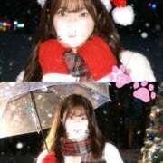 ヒメ日記 2025/12/24 10:17 投稿 ねこ Evolution 2nd