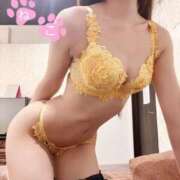 ヒメ日記 2026/01/01 08:32 投稿 ねこ Evolution 2nd