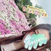 ヒメ日記 2026/02/27 09:41 投稿 みつき 千葉人妻セレブリティ（ユメオト）