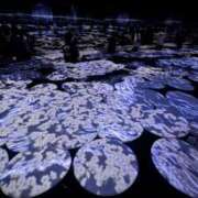ヒメ日記 2026/05/29 20:12 投稿 RAMUNE Club SEXY