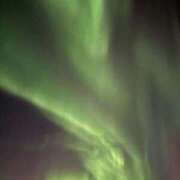 ヒメ日記 2026/01/04 13:41 投稿 なぎ 東京人妻セレブリティ（ユメオト）