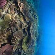 ヒメ日記 2026/01/07 21:19 投稿 なぎ 東京人妻セレブリティ（ユメオト）