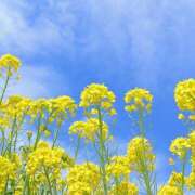 冬月真緒 出勤しています♪ 五十路マダム愛されたい熟女たち岡山店（カサブランカグループ）