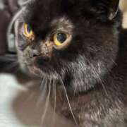 ヒメ日記 2026/01/21 18:09 投稿 みく ドマーニ