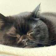 ヒメ日記 2026/03/02 10:31 投稿 みく ドマーニ