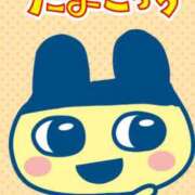 ヒメ日記 2026/04/23 09:44 投稿 内藤かれん 五十路マダムエクスプレス船橋店(カサブランカグループ)