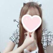 ヒメ日記 2026/01/15 20:23 投稿 きき★純白ピュア合法18歳JD Chloe錦糸町店 S級素人清楚系デリヘル