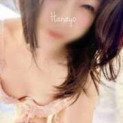 ヒメ日記 2026/05/01 12:33 投稿 はなよ Salon du M-えっちなお姉さんのM性感デリバリー-五反田店