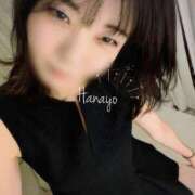 ヒメ日記 2026/08/06 15:48 投稿 はなよ Salon du M-えっちなお姉さんのM性感デリバリー-五反田店