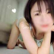 ヒメ日記 2026/10/08 18:18 投稿 はなよ Salon du M-えっちなお姉さんのM性感デリバリー-五反田店
