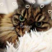 ヒメ日記 2026/10/11 14:28 投稿 はなよ Salon du M-えっちなお姉さんのM性感デリバリー-五反田店