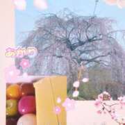 ヒメ日記 2026/04/06 07:47 投稿 あかり 出会い系人妻ネットワーク 上野〜大塚編