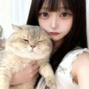 ヒメ日記 2025/12/22 22:01 投稿 せれな/元アイドル Muteki Platinum