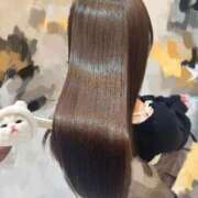 ヒメ日記 2026/02/22 11:05 投稿 うさ ごほうびSPA池袋店