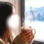 ヒメ日記 2026/01/08 10:31 投稿 りん あとりえ(ATELIER)