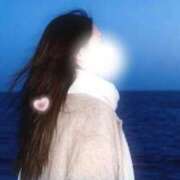 ヒメ日記 2026/01/30 08:15 投稿 りん あとりえ(ATELIER)