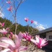 ヒメ日記 2026/03/12 09:30 投稿 りん あとりえ(ATELIER)