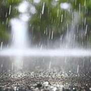 ヒメ日記 2026/04/02 05:40 投稿 らん あとりえ(ATELIER)