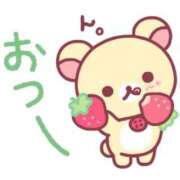 ヒメ日記 2026/04/07 00:52 投稿 らん あとりえ(ATELIER)