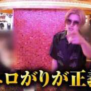 ヒメ日記 2026/10/20 08:50 投稿 らん あとりえ(ATELIER)