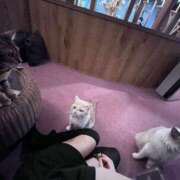 ヒメ日記 2025/12/18 20:28 投稿 ありさ 櫻女学院