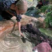 ヒメ日記 2025/12/21 21:51 投稿 ありさ 櫻女学院