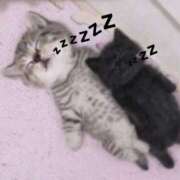 ヒメ日記 2026/01/15 20:25 投稿 ありさ 櫻女学院