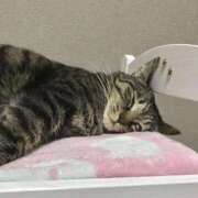 ありさ ごめんね（泣） 櫻女学院