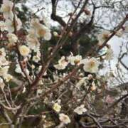 ヒメ日記 2026/03/13 00:16 投稿 ノノカ マテリアル