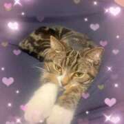 ヒメ日記 2025/12/10 18:54 投稿 みこと 山梨　風俗　デリヘル　 『ラブ＆ピース学園』