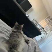 えれな 数週間ぶりに出勤です♡ 舐めたくてグループ〜ペロンチョ学園〜八王子校