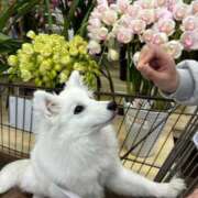 ヒメ日記 2025/12/11 18:59 投稿 えれな 舐めたくてグループ〜ペロンチョ学園〜八王子校