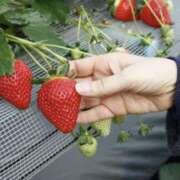 ヒメ日記 2026/02/02 18:07 投稿 志村ななお ワイフコレクション