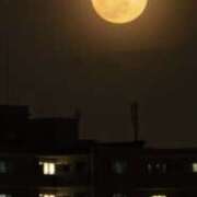 志村ななお 月が綺麗ですね ワイフコレクション