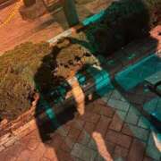 ヒメ日記 2026/02/25 12:22 投稿 まひる☆アイドルオーディション OKINI立川