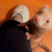 ヒメ日記 2026/02/23 12:25 投稿 ななせ☆アイドルオーディション☆ OKINI立川