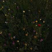 ヒメ日記 2026/03/19 13:53 投稿 ひかり 見学娘