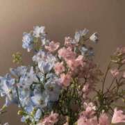 ヒメ日記 2026/04/21 11:59 投稿 ひかり 見学娘