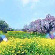 ヒメ日記 2026/04/11 09:23 投稿 あきな[東京] 奥鉄オクテツ神奈川店（デリヘル市場グループ）