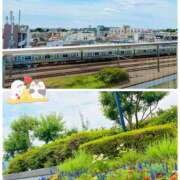 ヒメ日記 2026/06/11 11:42 投稿 あきな[東京] 奥鉄オクテツ神奈川店（デリヘル市場グループ）