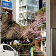 ヒメ日記 2026/03/02 16:03 投稿 華森まゆみ 洗体アカスリとHなスパのお店