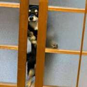 ヒメ日記 2026/05/27 01:51 投稿 ゆみ ちゃんこ本厚木店