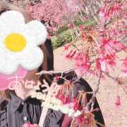 ヒメ日記 2026/07/01 06:57 投稿 あおい clubさくら難波店