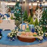 やよい 入店しました🌸 妻天 梅田店