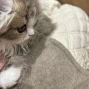 ヒメ日記 2026/01/31 00:04 投稿 日和-HIYORI- 博多最高級濃厚洗体風俗エステ シャルドネ福岡