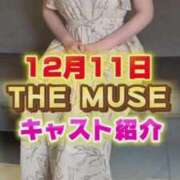 ヒメ日記 2025/12/11 12:54 投稿 Niko THE MUSE