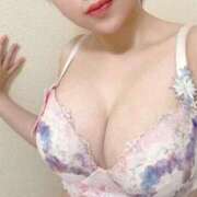 ヒメ日記 2026/02/23 11:34 投稿 Niko THE MUSE