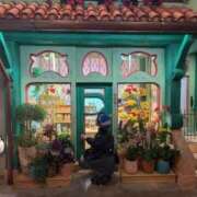 ヒメ日記 2026/04/09 11:58 投稿 綾芽（あやめ） 京都BOOK MARK（ブックマーク）